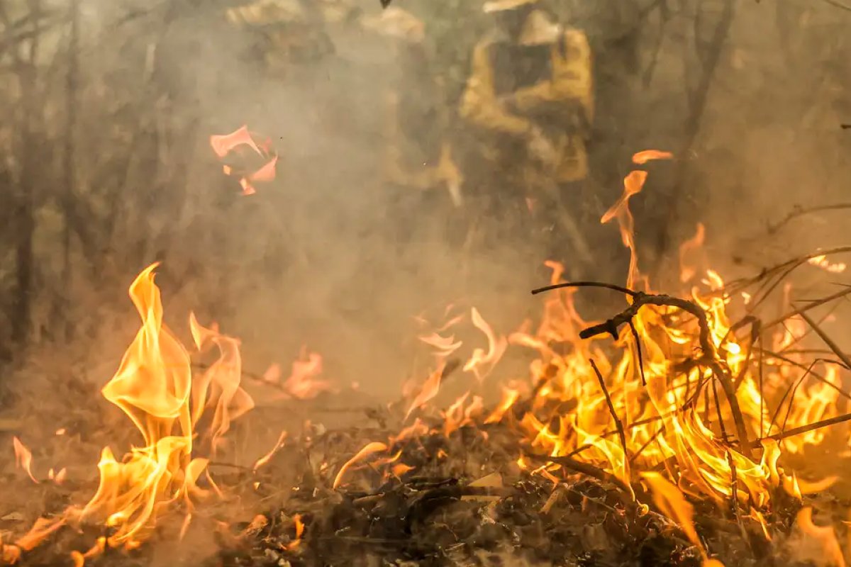 Mais da metade dos estados no país enfrentam o pior período de seca em 44 anos