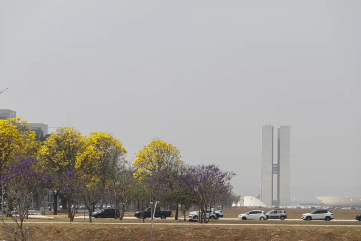 Em meio a incêndios, qualidade do ar é considerada insalubre em oito estados e no DF