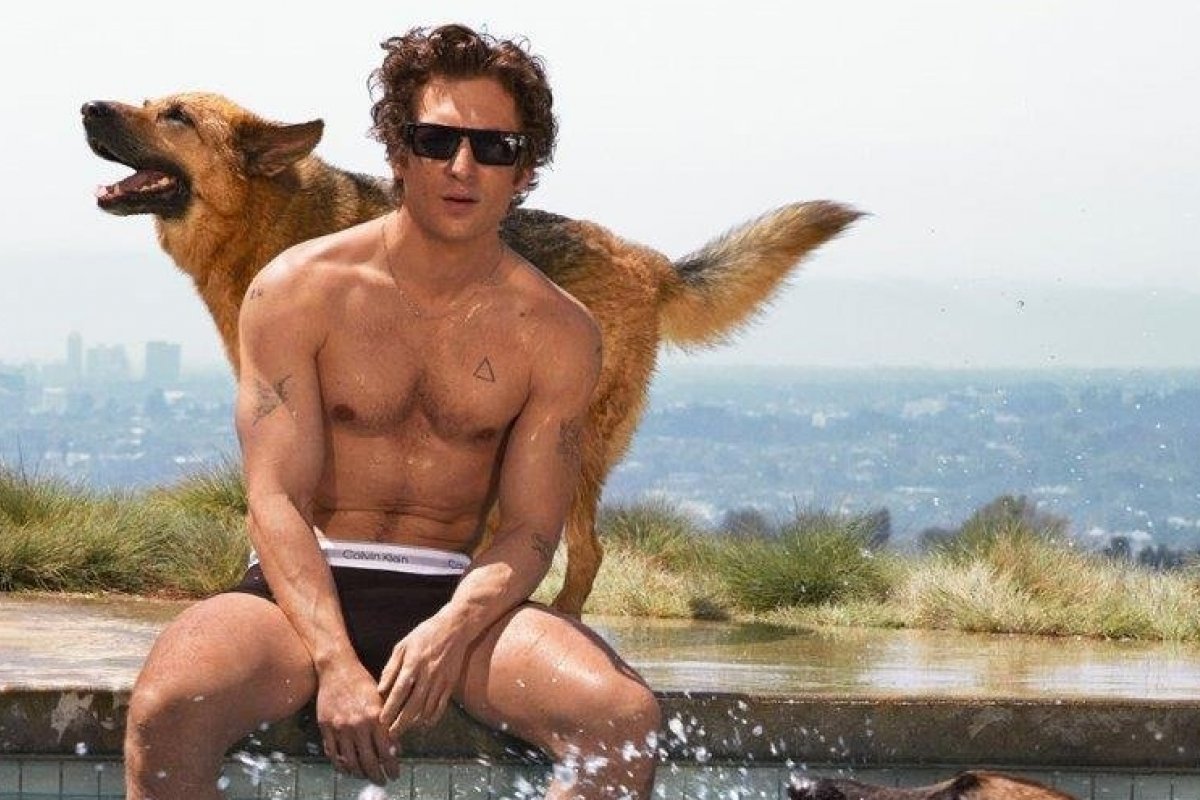 Calvin Klein lança nova campanha com o ator premiado Jeremy Allen White!