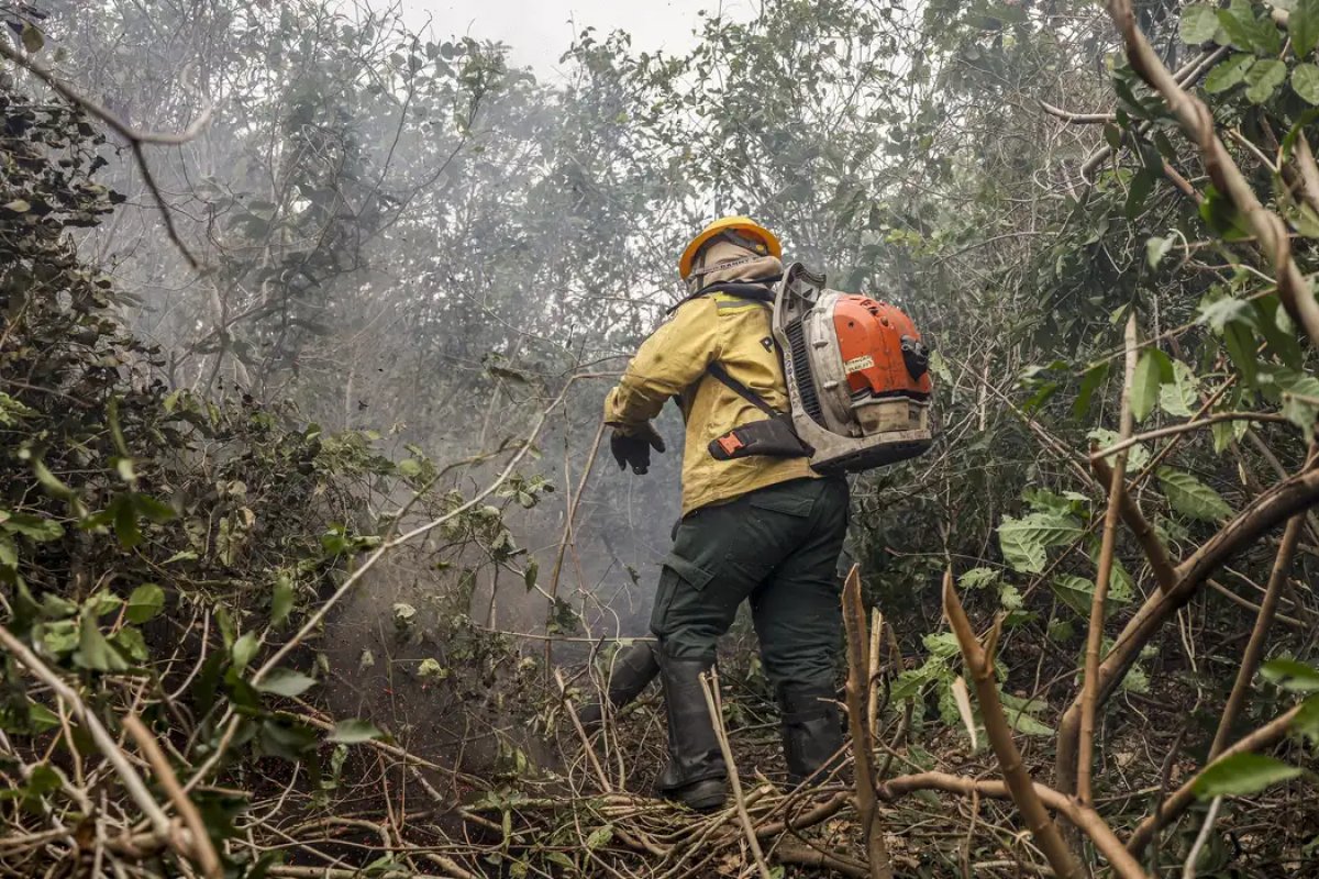Dino determina que governo reforce combate a incêndios no Pantanal e na Amazônia