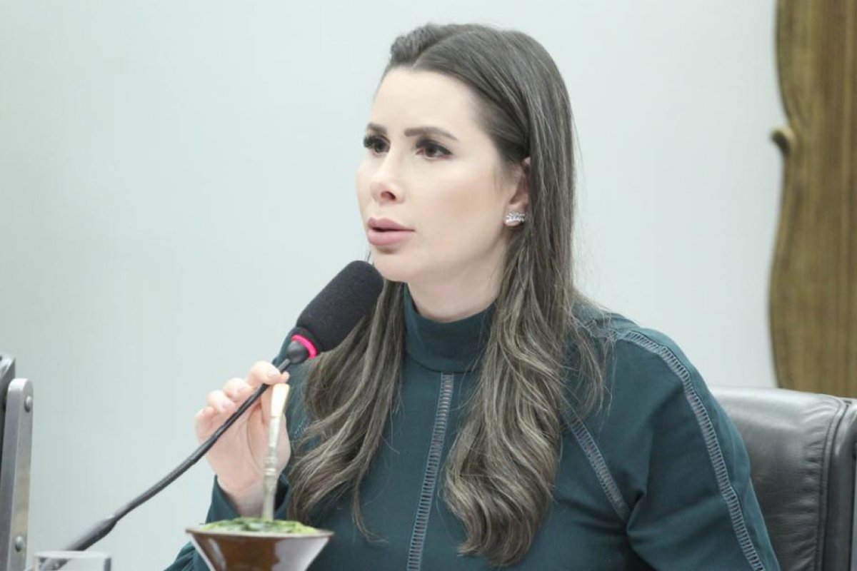 CCJ da Câmara: pedidos de vista adiam votação de projetos que limitam poderes do STF