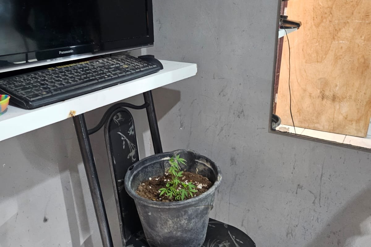 Polícia Civil desativa estúdio de tatuagem clandestino em Santo Estevão