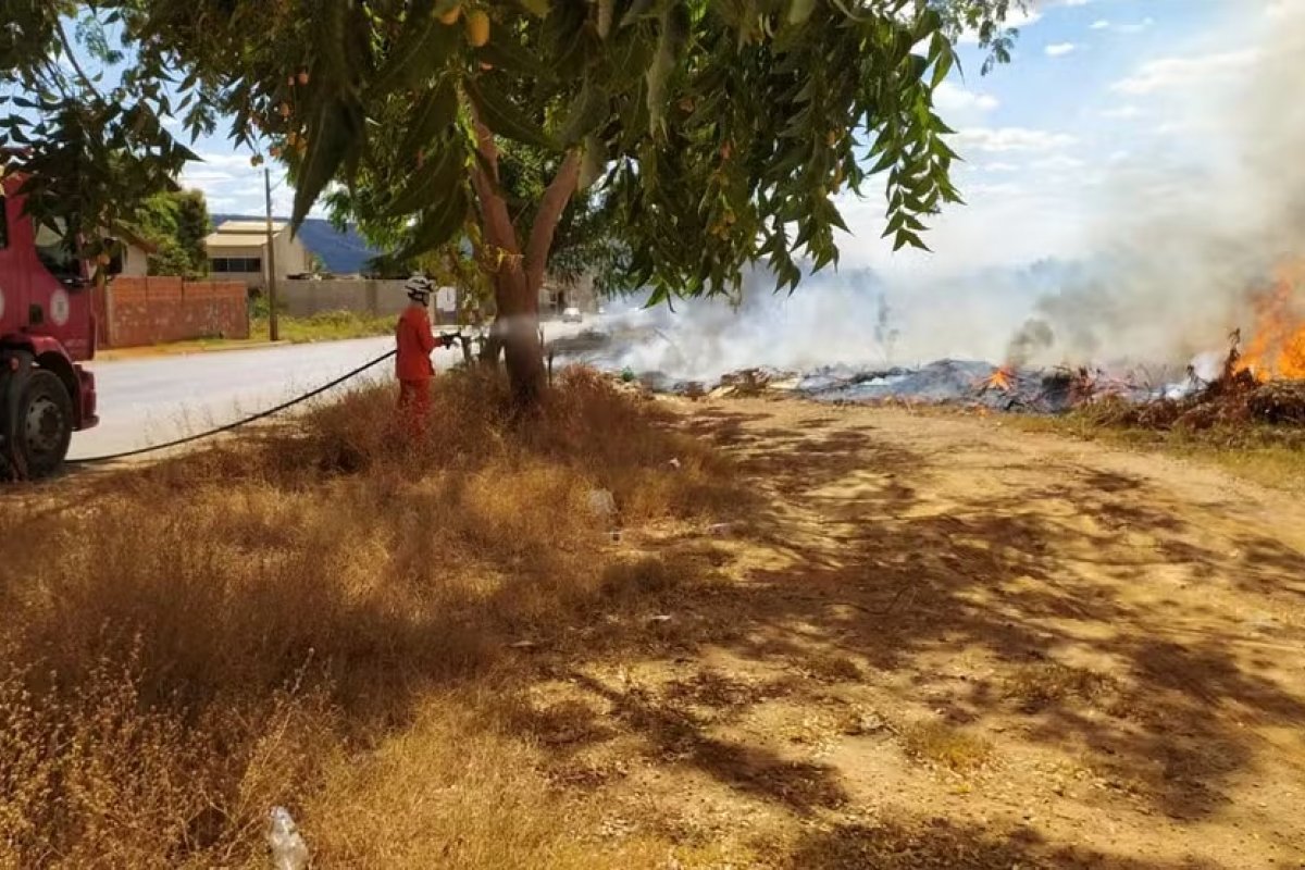 Bahia registra mais de 700 focos de queimadas no mês de agosto, aponta Inpe