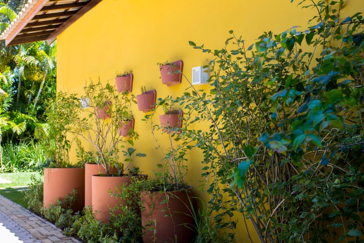 5 dicas para cultivar uma horta em espaços pequenos!