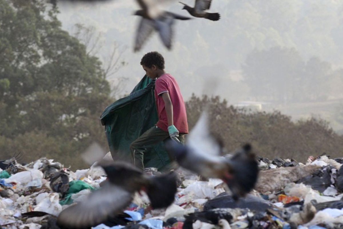 Brasil registra o maior número de crianças e adolescentes em trabalho infantil desde 2017