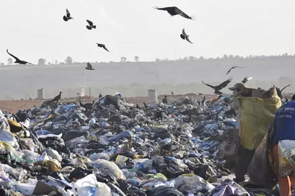Bebê é encontrado morto em lixão de Medeiros Neto, na Bahia