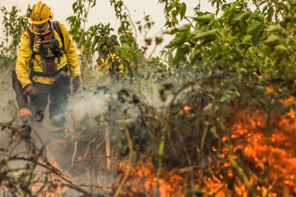 Mudanças climáticas podem deixar Amazônia vulnerável a incêndios 'naturais' nos próximos anos, diz Marina Silva