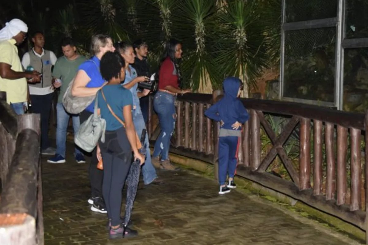 Zoológico de Salvador abre nova temporada de visitação noturna