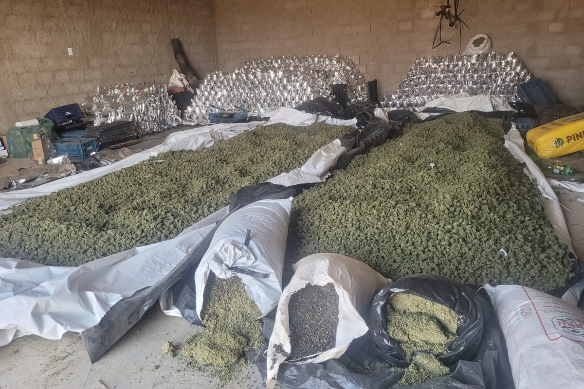 Duas toneladas e meia de maconha são apreendidas no sudoeste da Bahia