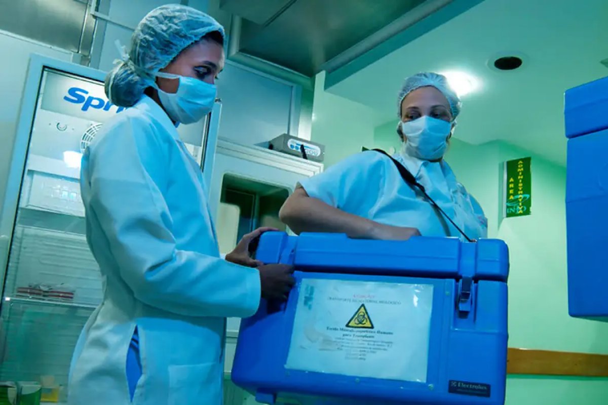 Em média, 3.000 brasileiros morrem por ano à espera de transplante de órgãos