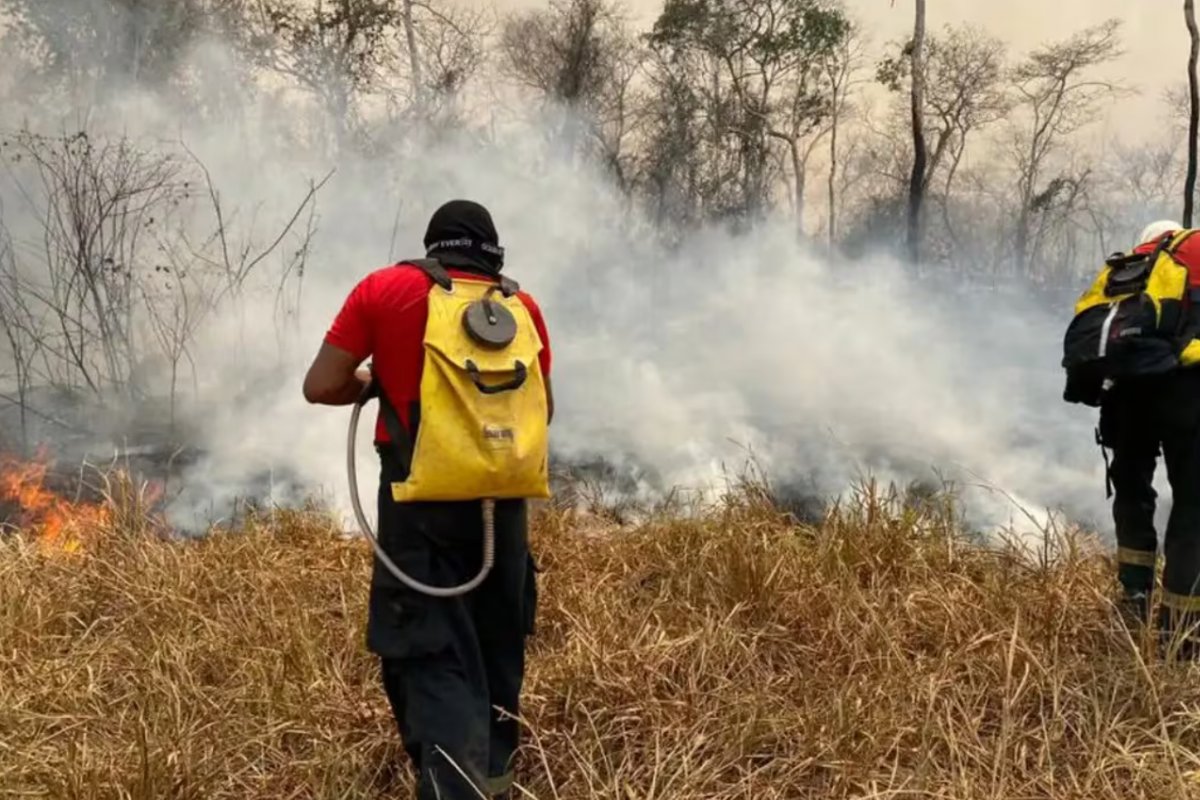 Brasil envia equipe de bombeiros para combater incêndios na Bolívia