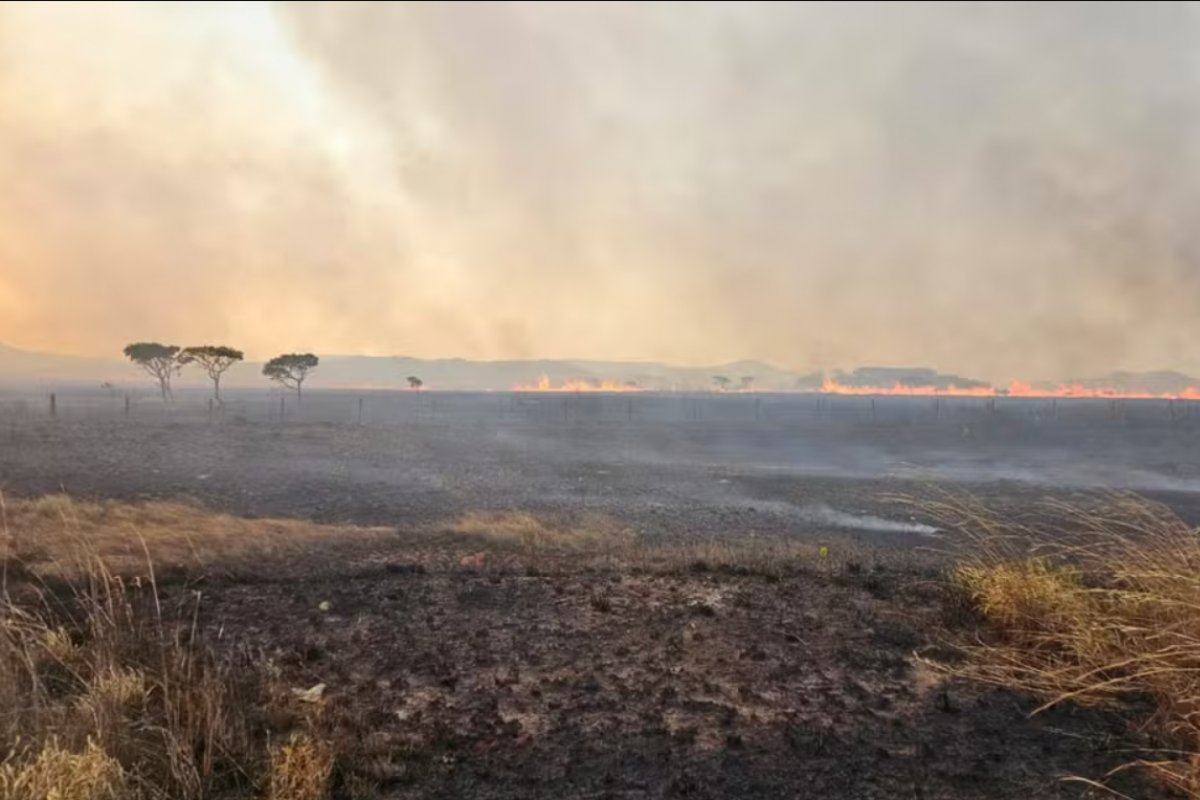 Incêndio destrói cerca de 10 mil hectares na Chapada dos Veadeiros