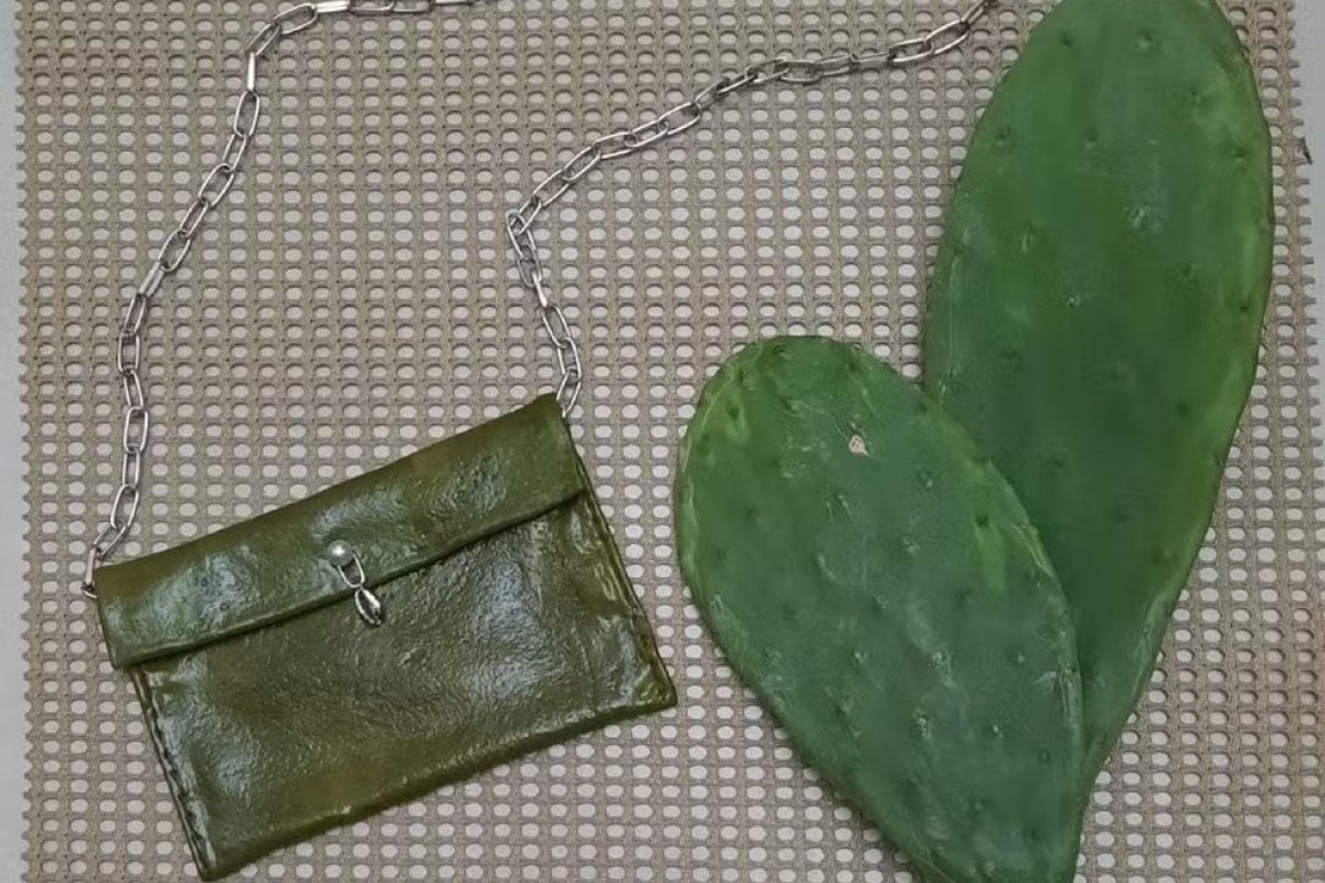 Estudantes baianos desenvolvem couro ecológico com planta típica do nordeste brasileiro