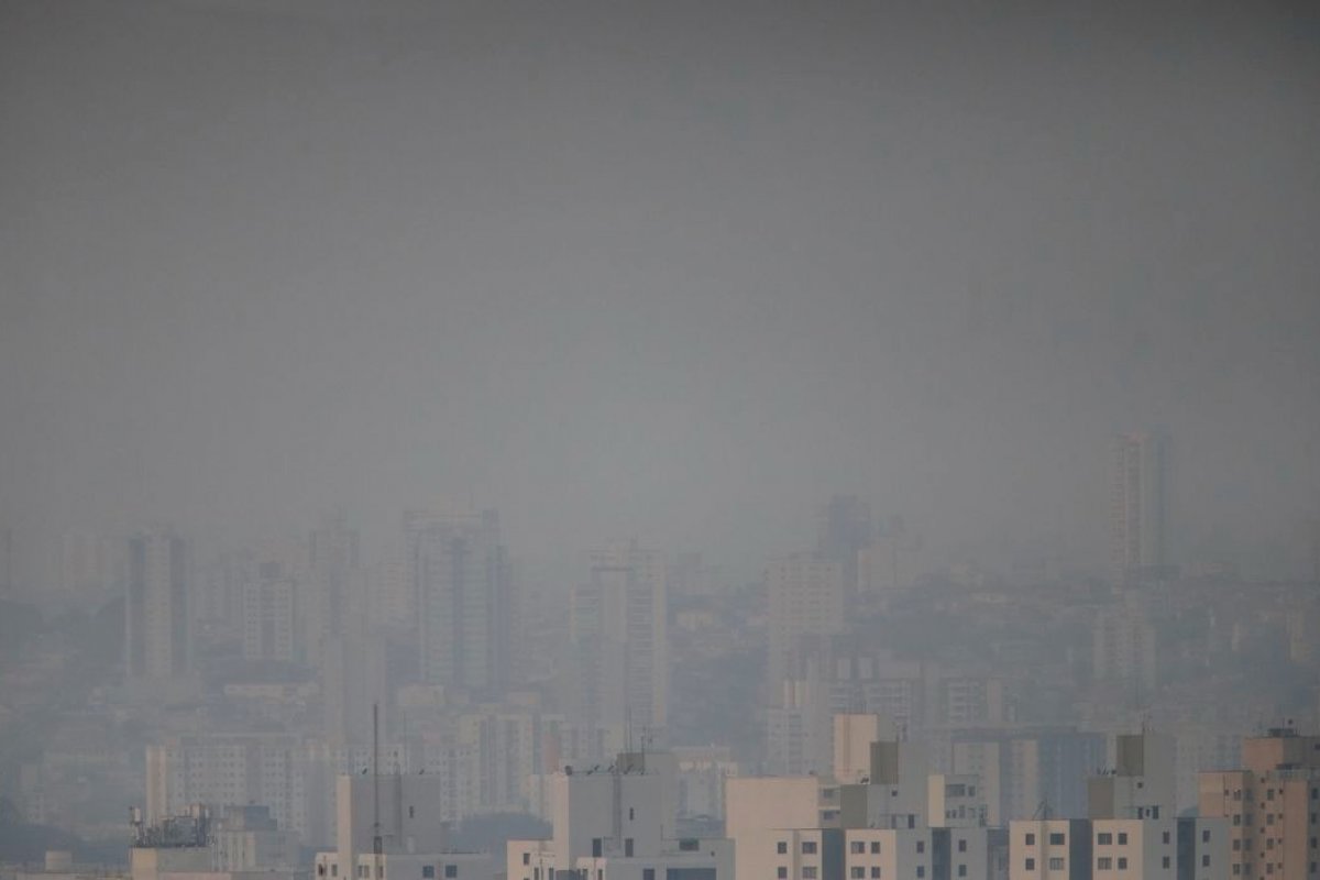 São Paulo tem alerta para incêndios florestais em todo o estado; temperaturas devem atingir 33 °C