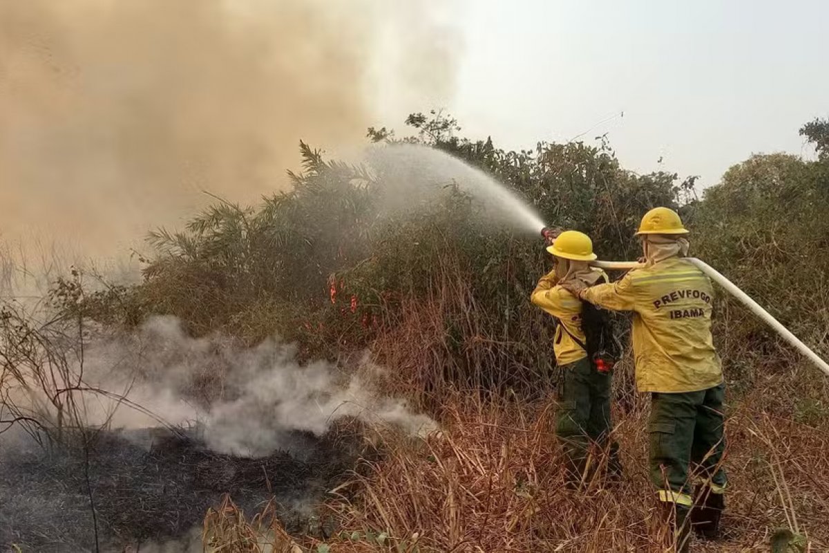 Pantanal já tem o dobro do total de incêndios de setembro de 2023