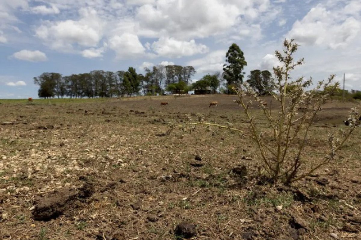 Projeto de lei que adia por quatro anos parcelas de dívidas rurais de atingidos por seca ou inundação é vetado