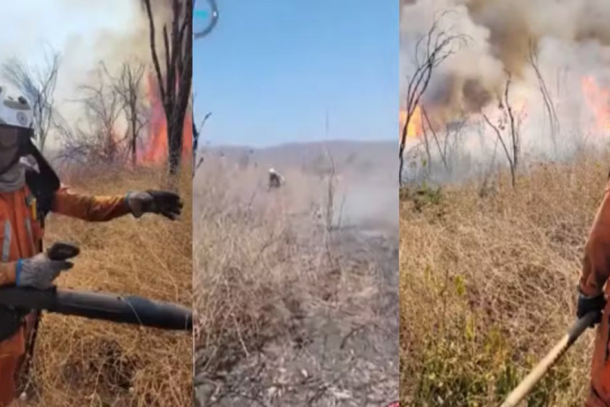 Com incêndio incontrolável há quase um mês, Serra do Cipó é principal foco de queimadas no oeste da Bahia