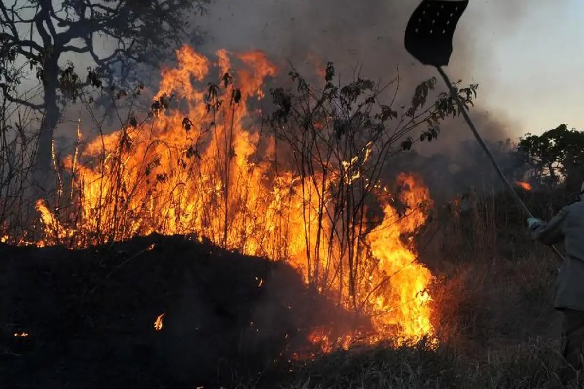 Nº de focos de incêndio no Brasil dobrou em 11 estados e no DF, diz Inpe