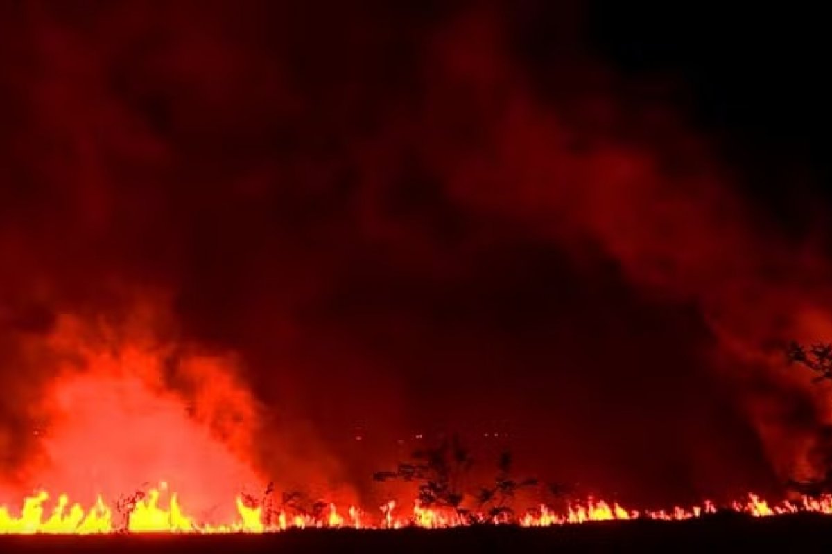 Diretor da PF diz que há indícios de ação coordenada em casos de incêndio no Brasil