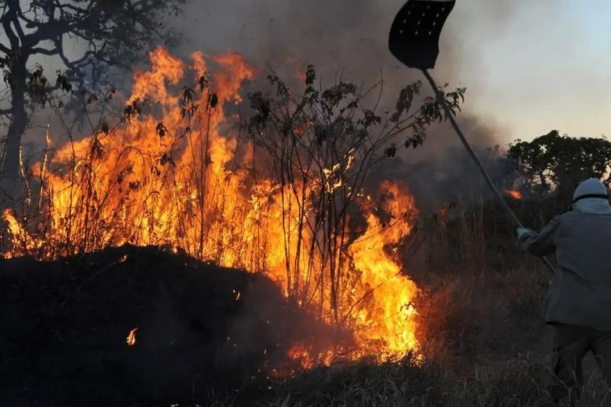 Brasil tem ao menos 10 milhões afetados em cidades em emergência por queimadas