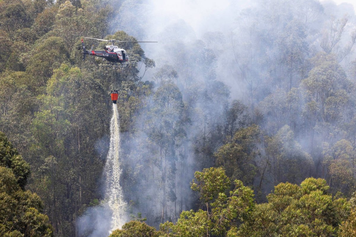 Fumaça e tempo seco antecipam crise do clima e viram desafio para cidades brasileiras