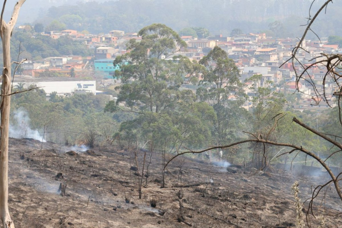 Estado de São Paulo amanhece com 11 focos de incêndio