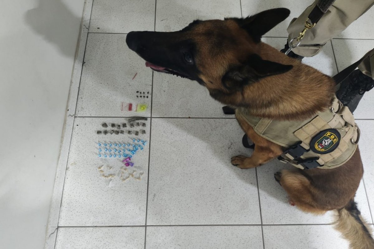 Polícia apreende drogas com auxílio de cão farejador em Coroa Vermelha