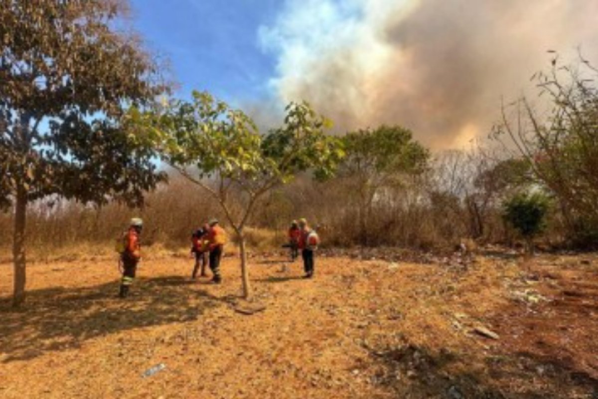 Incêndio de grandes proporções atinge Parque Nacional de Brasília