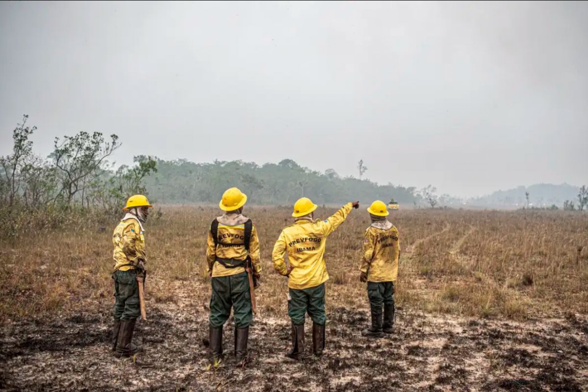 Dino estabelece orçamento de emergência para combate a incêndios