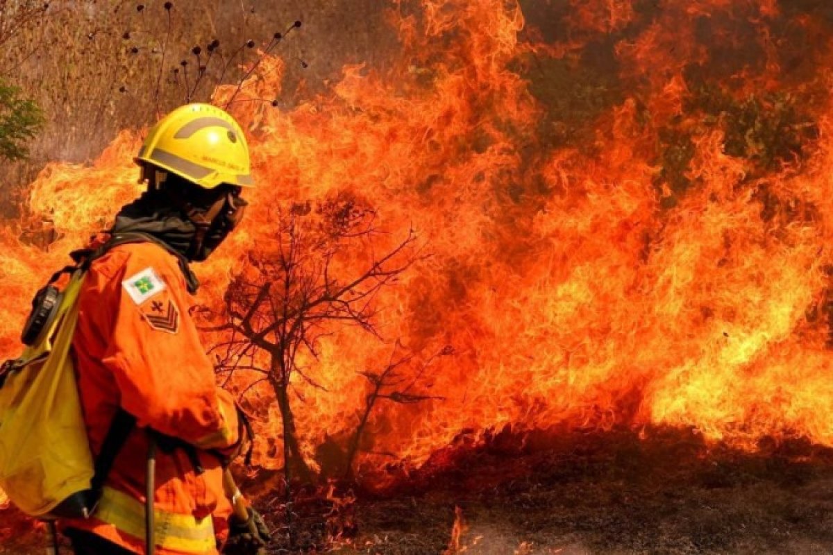 PF abre inquérito para investigar incêndio em Brasília