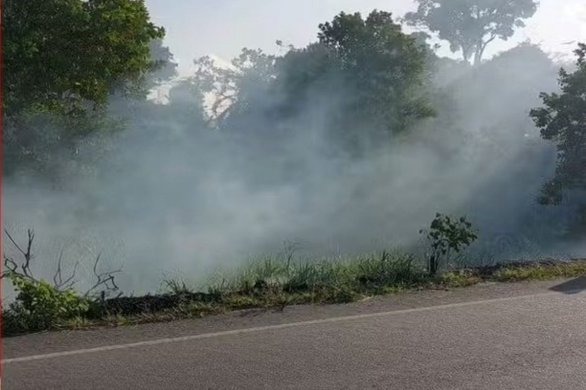 Homem é preso ao usar isqueiro e combustível para atear fogo em vegetação no sul da Bahia