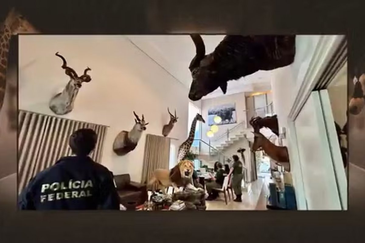 Investigação da PF apreende coleção ilegal de animais exóticos da África em mansão no Brasil