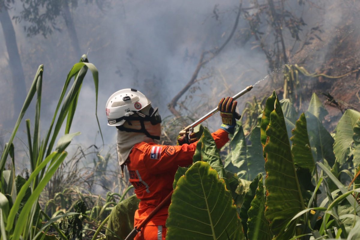 Bombeiros reforçam combate e debelam 422 incêndios na Bahia