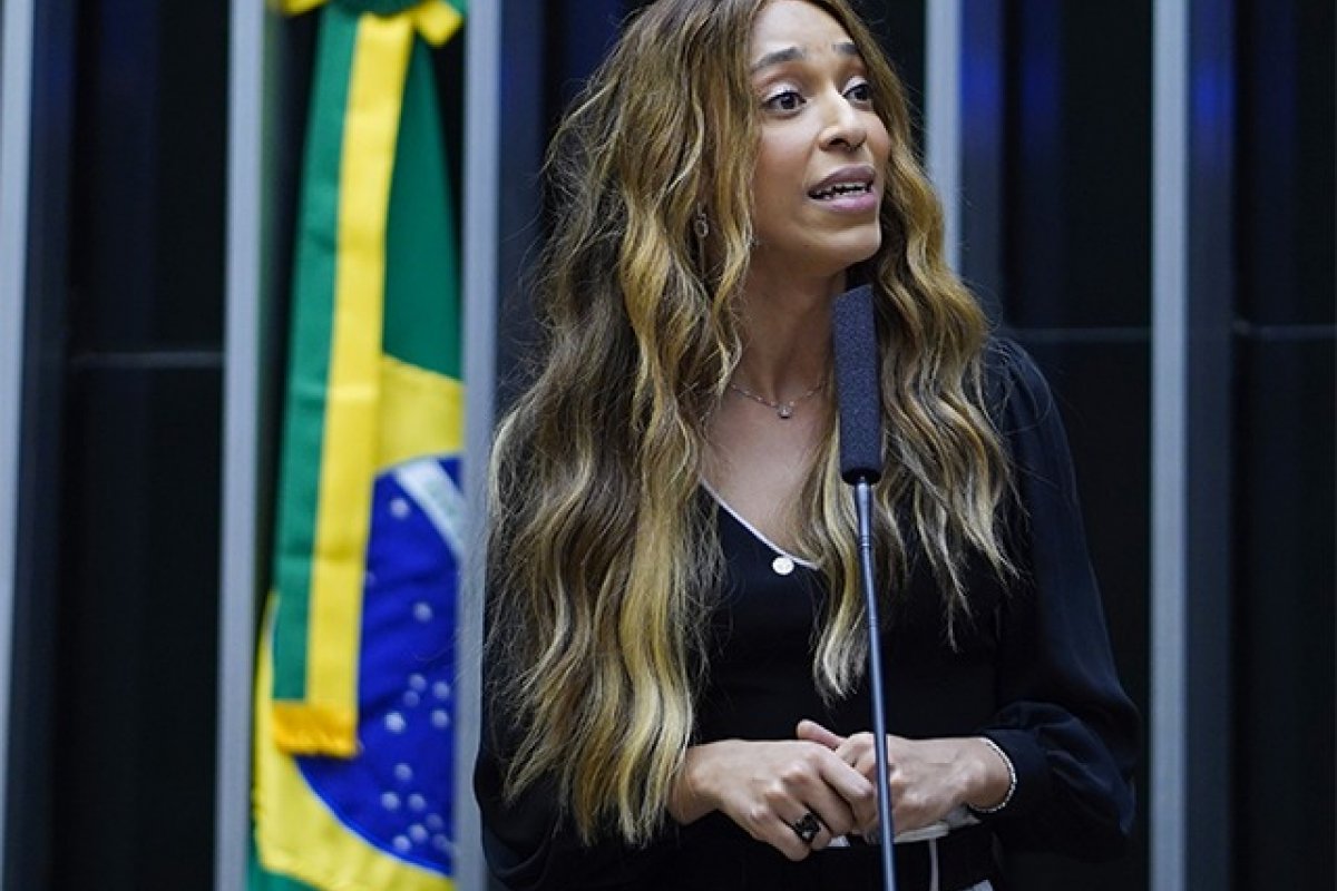 Erika Hilton apresenta projeto pra proibir concessão de créditos para condenados por queimadas