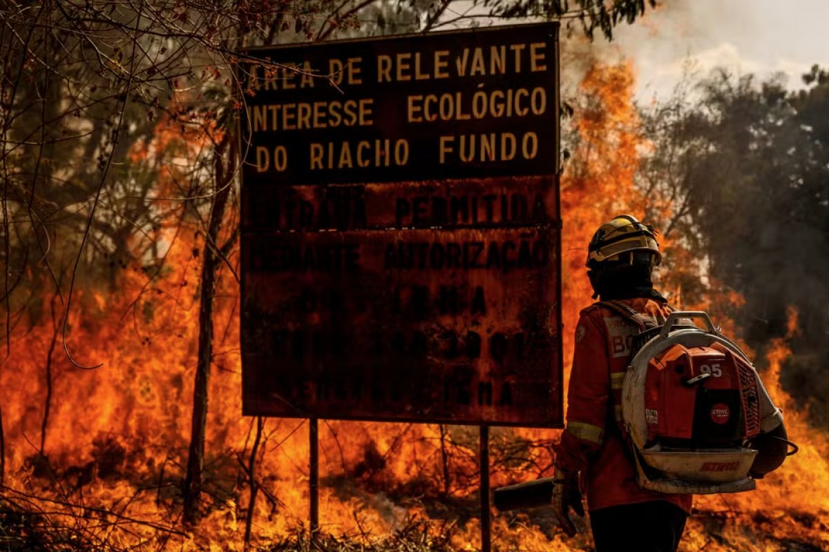 Desmatamento do Cerrado emite mais de 135 milhões de toneladas de CO2 em 18 meses