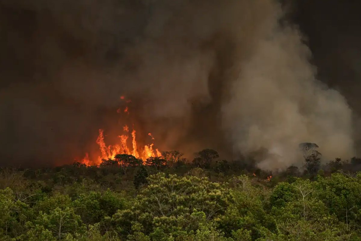 Incêndios podem ter afetado mais de 11 milhões de pessoas no Brasil