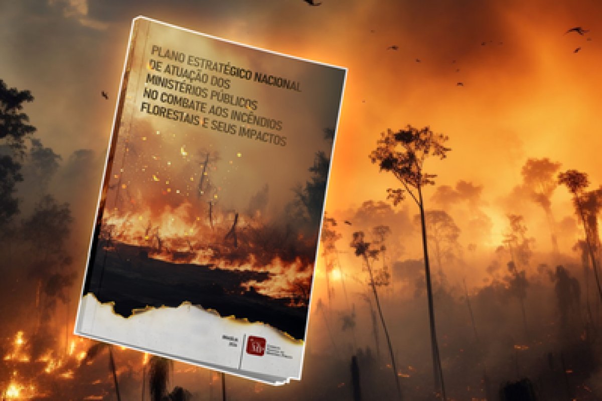 CNMP lança plano nacional para combater incêndios florestais nesta quarta (18)