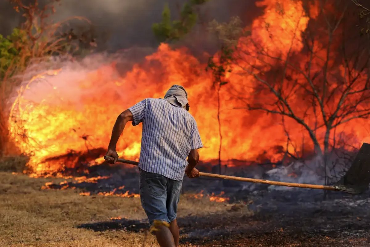 AGU cria novo grupo para ajudar com os crimes ambientais