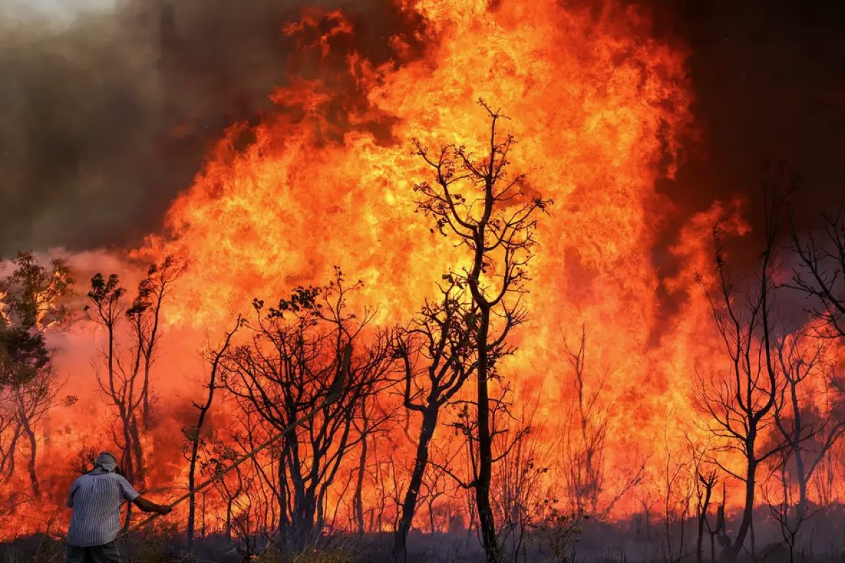 TCU solicita informação do governo sobre combate aos incêndios