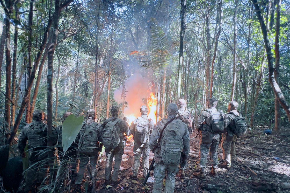 Acampamento utilizado por criminosos é desmontado pela PM em Vera Cruz
