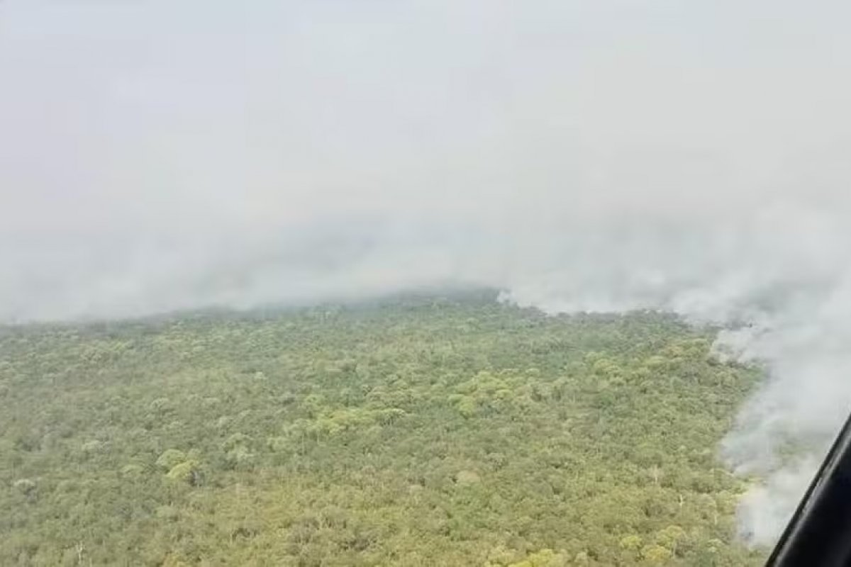 Incêndio na Ilha do Bananal afeta comunidade indígena do Karajá, que se reveza para controlar as chamas