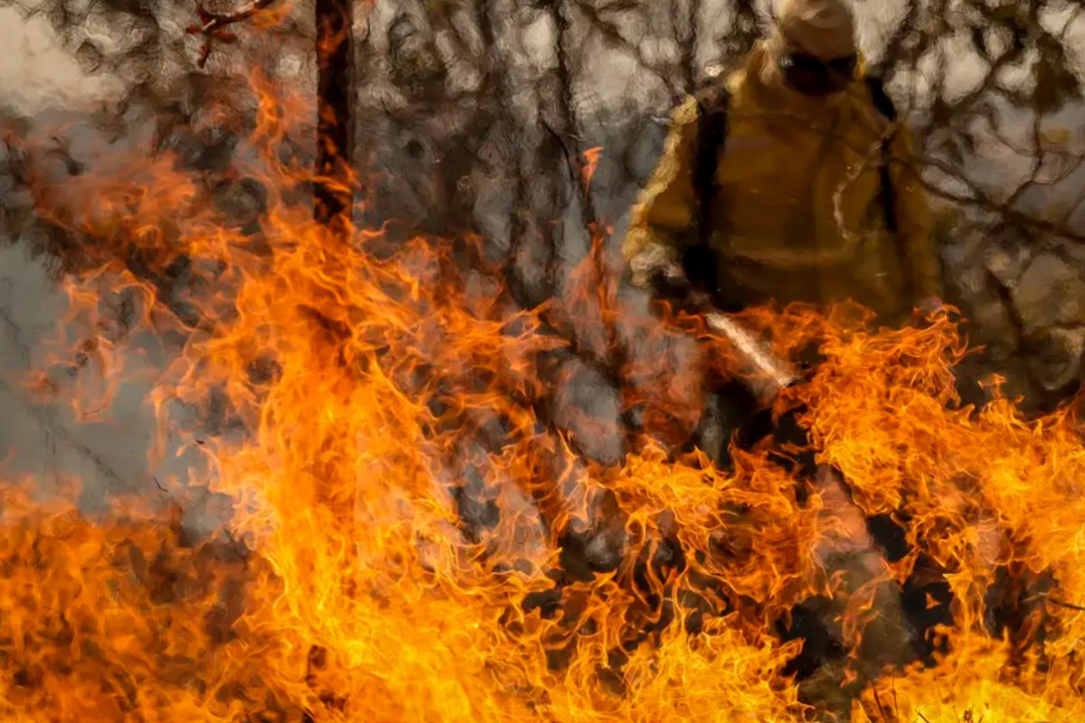 Mato Grosso libera pecuária em área de preservação do Pantanal para combater incêndios