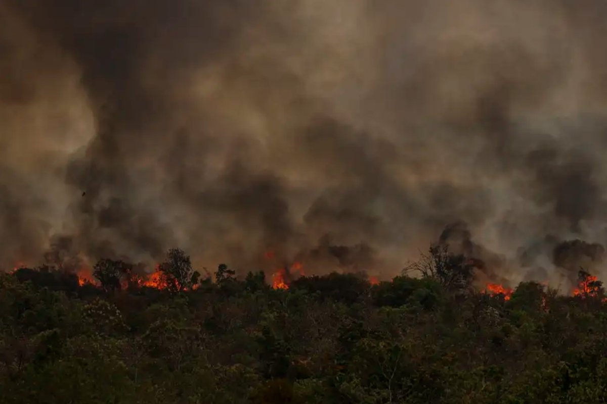 Secretário do MMA aponta conotação política nas queimadas da Amazônia