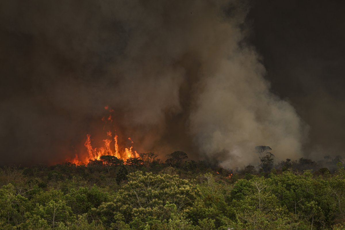A três meses do fim do ano, Brasil já tem mais focos de incêndio do que em todo 2023