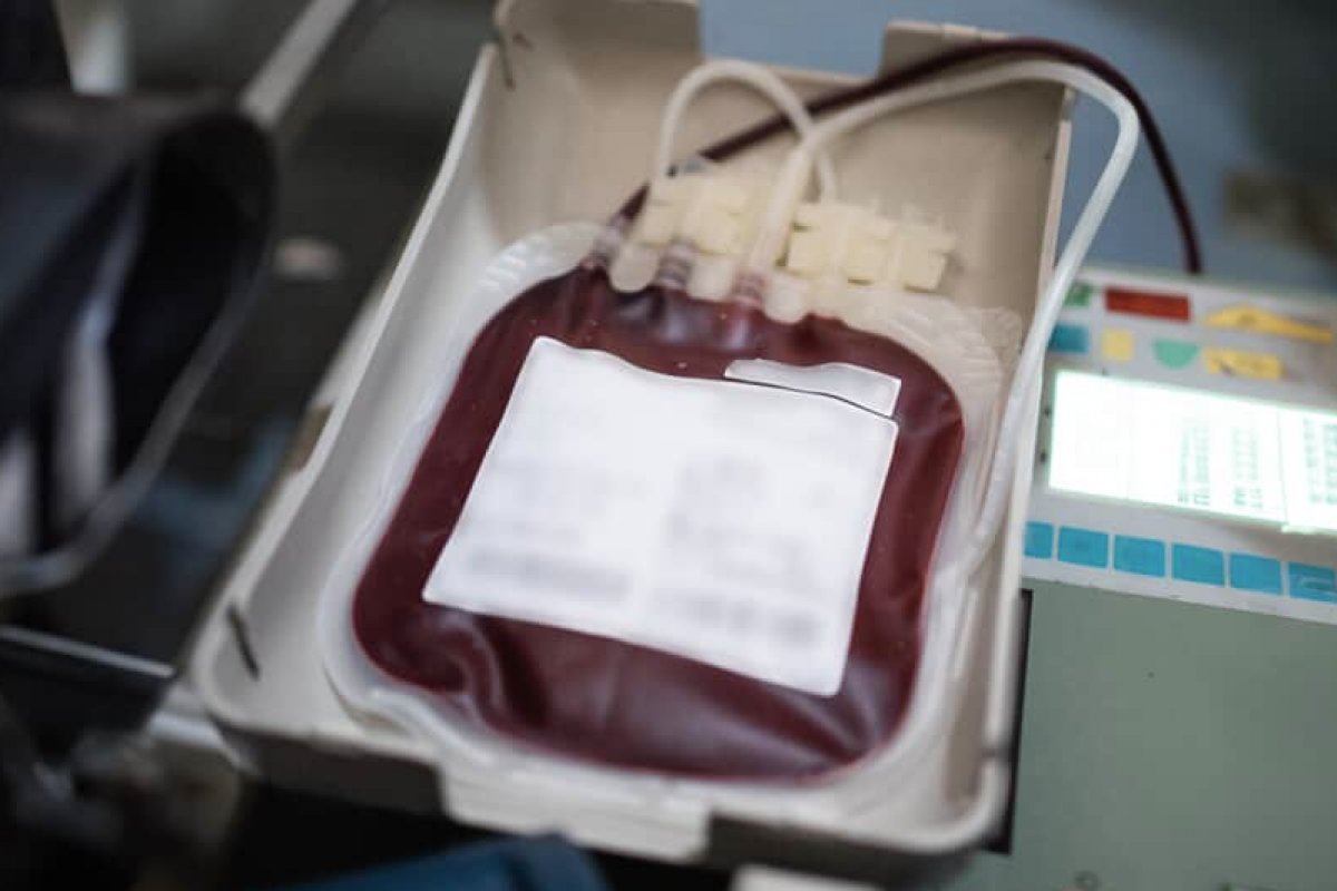 STF reconhece direito de Testemunhas de Jeová de recusar transfusões de sangue por convicção religiosa