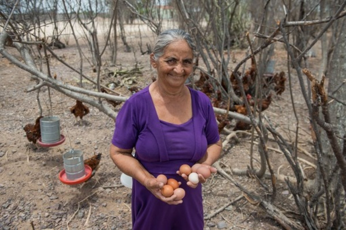 Pró-Semiárido ocupa primeira posição no ranking de 231 projetos financiados pelo Fida em 98 países