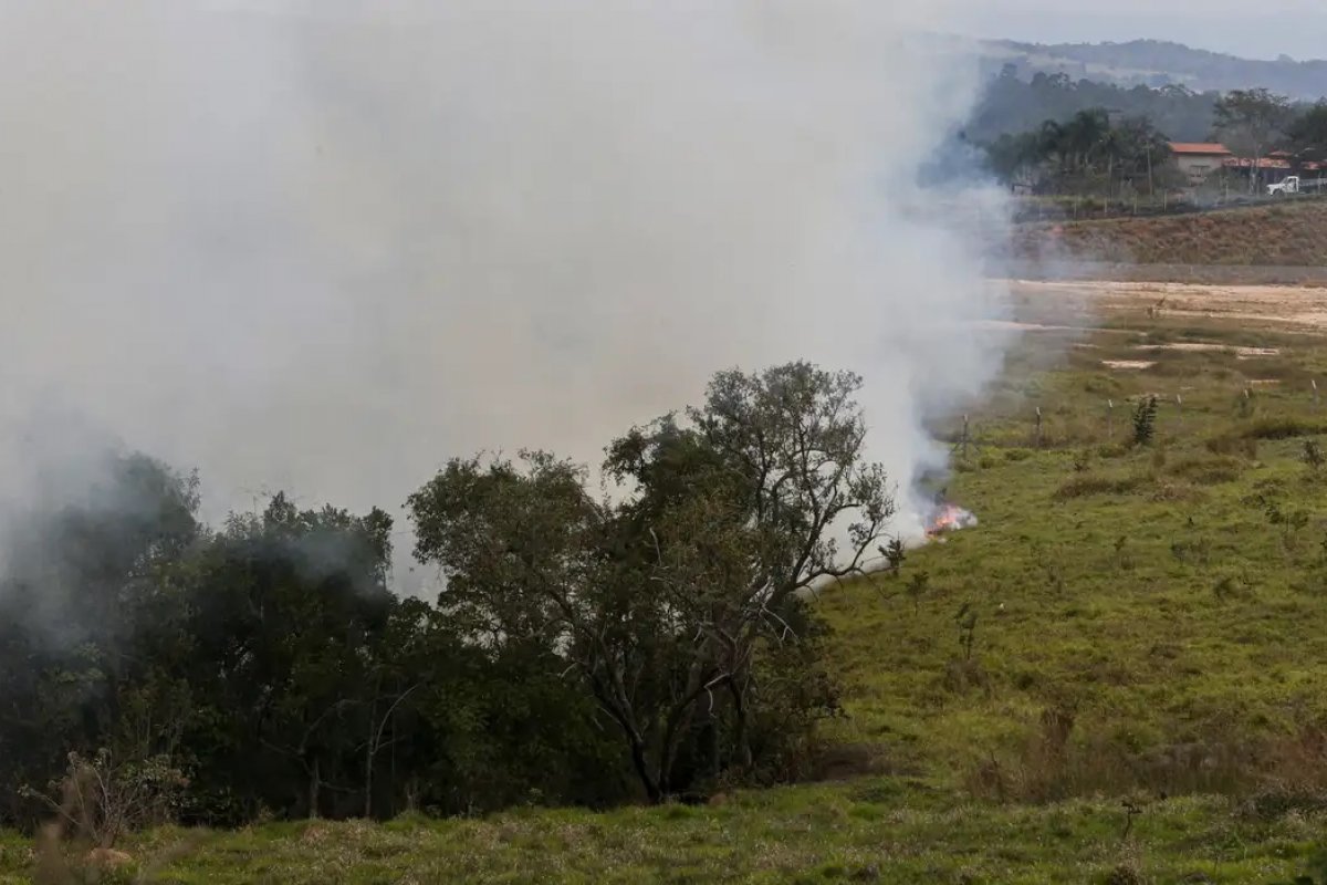 Agronegócio estima prejuízo de R$ 14,7 bilhões com incêndios