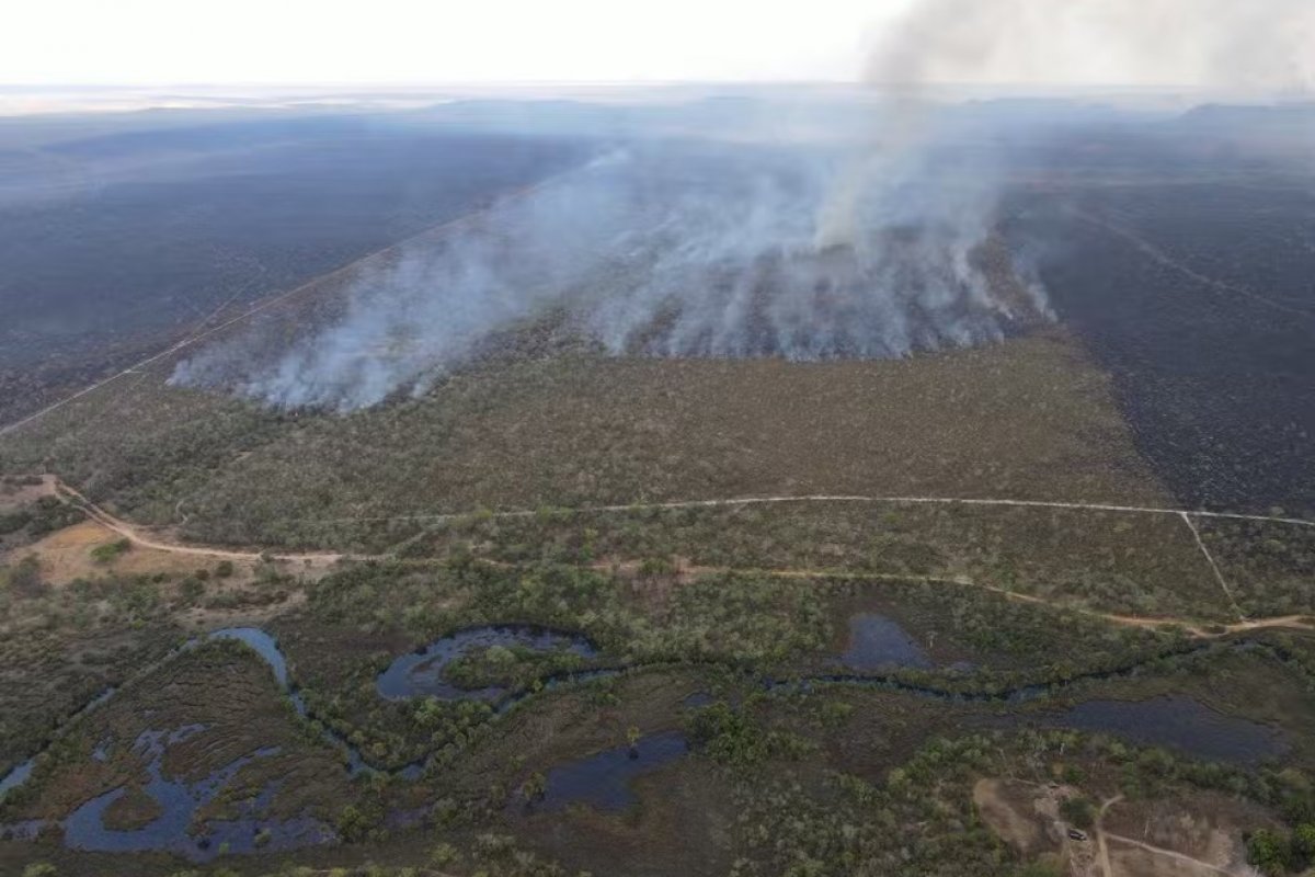 Brigadistas tentam combater incêndio em área de vegetação no oeste da Bahia