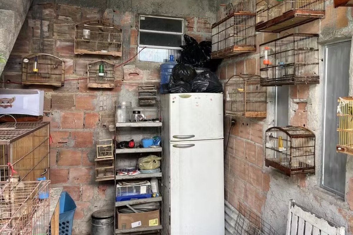 Homem é multado em R$ 29 mil e responderá por crime ambiental após ser encontrado com pássaro em risco de extinção