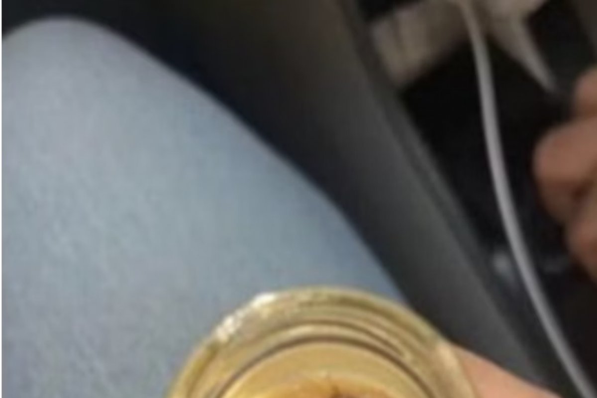 Barata é encontrada em café renomado na índia